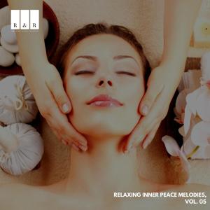Various的专辑Relaxing Inner Peace Melodies, Vol. 05