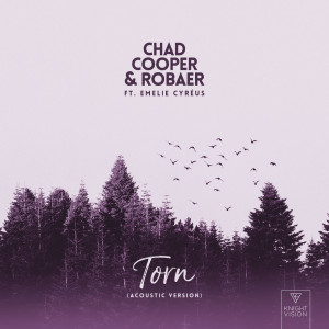 Chad Cooper的專輯Torn (feat. Emelie Cyréus) [Acoustic Version]