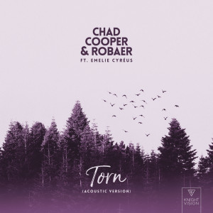收聽Chad Cooper的Torn (feat. Emelie Cyréus) (Acoustic Version)歌詞歌曲