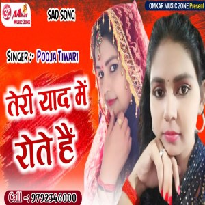 ดาวน์โหลดและฟังเพลง Teri Yaad Me Rote Hai พร้อมเนื้อเพลงจาก Pooja Tiwari