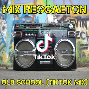 Album Mix Mix Reggaeton Old School (TikTok Mix) from Dj TikTok Viral