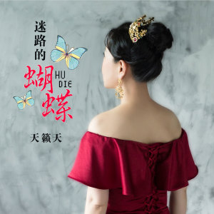 Dengarkan lagu 迷路的蝴蝶 nyanyian 天籁天 dengan lirik