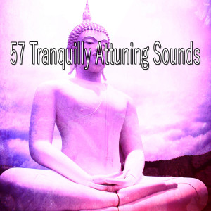 收聽Asian Zen Spa Music Meditation的Rule the Unruly歌詞歌曲