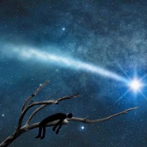 收聽PA!N的Dark place (Star gaze) (Explicit)歌詞歌曲