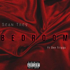 Listen to Bedroom(feat. Dee Trigga) (Explicit) song with lyrics from Sean Trey