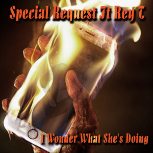 Listen to I Wonder What She's Doing song with lyrics from Special Request