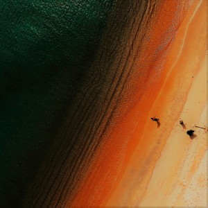 Album Runaway from 