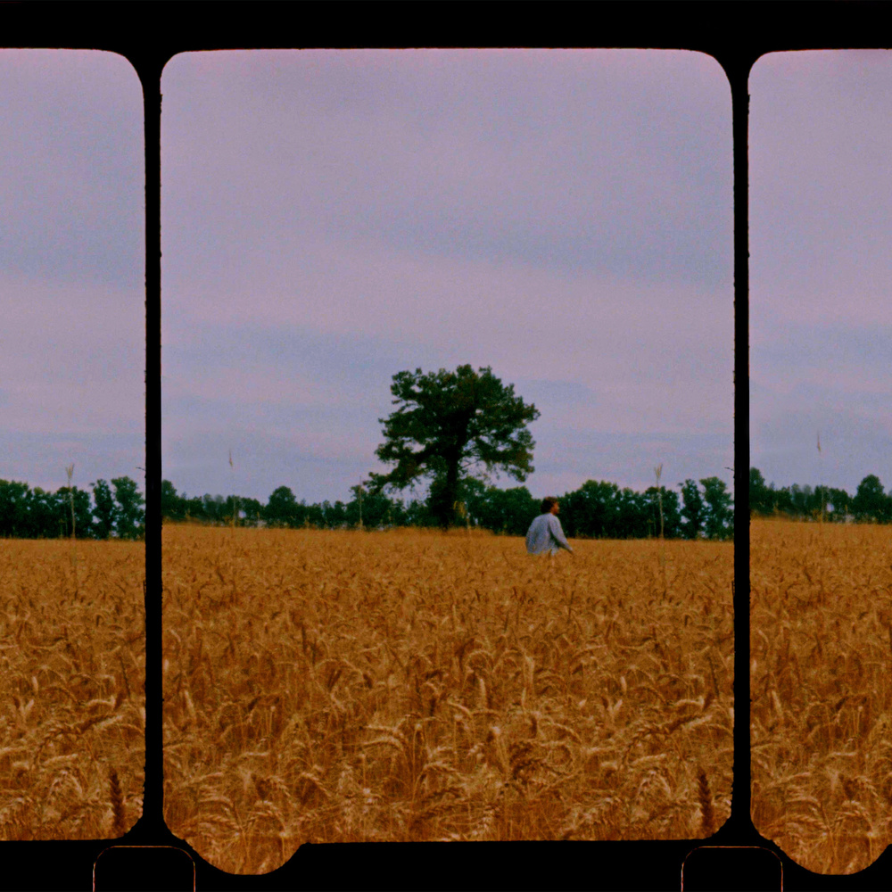 windfall (Rework)