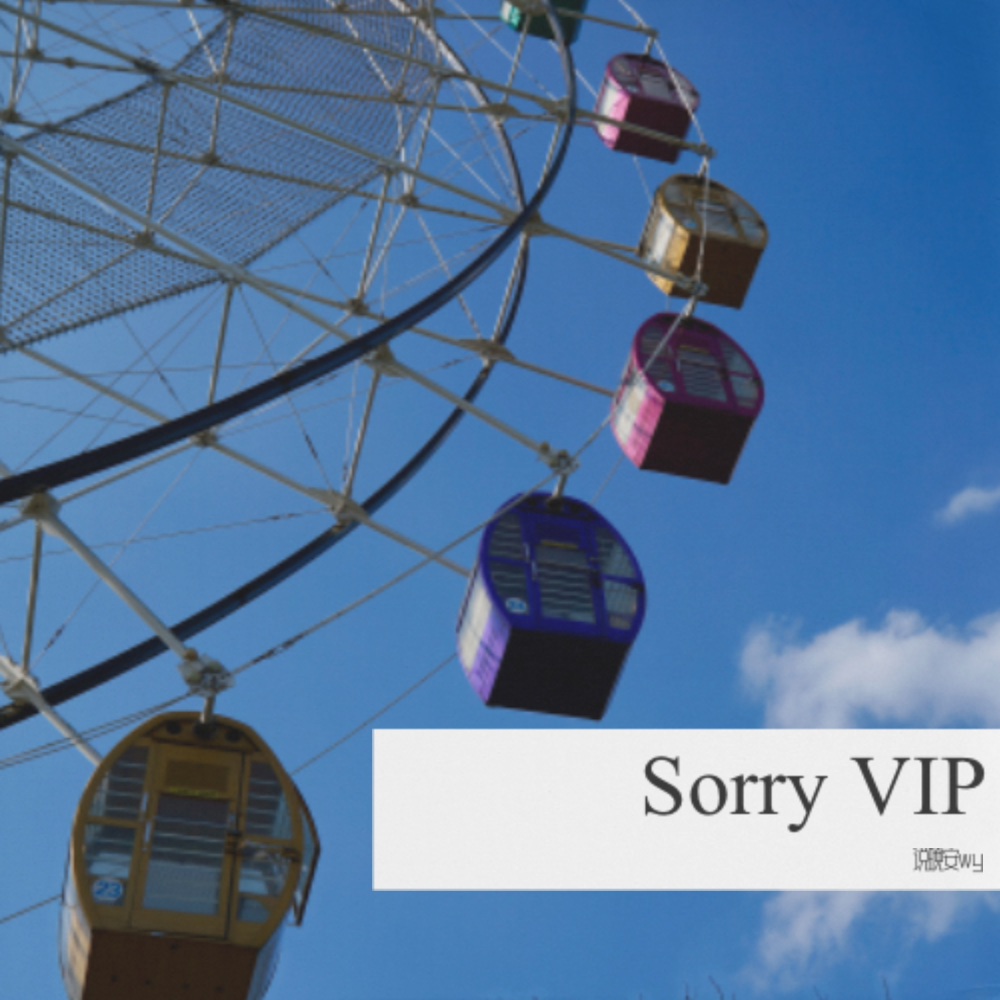 Sorry (说晚安wy remix) (Remix)