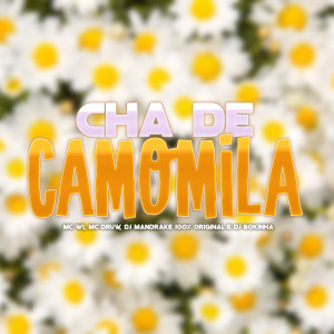 收聽DJ Bokinha的Chá de Camomila (Explicit)歌詞歌曲