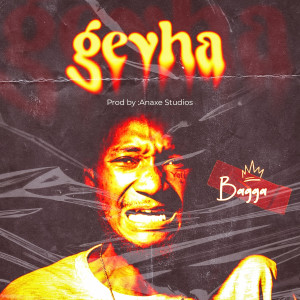 Bagga的专辑Gevha
