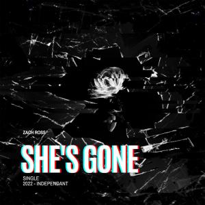 Listen to She's Gone (Explicit) song with lyrics from Zach Ross