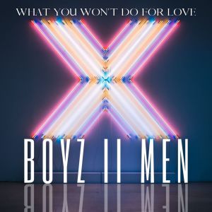 Album What You Won't Do For Love from Boyz II Men