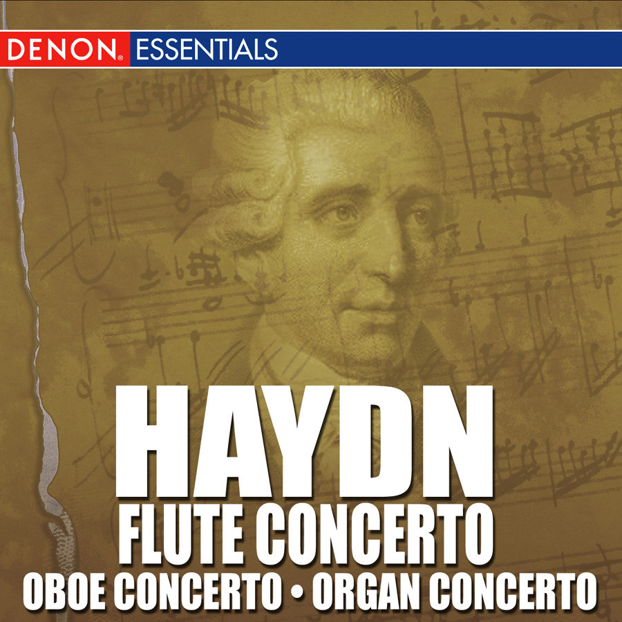 Concerto for Oboe and Orchestra in C Major, Hob. VII: II. Andante