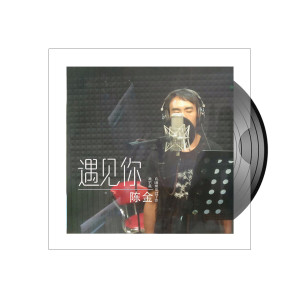 收聽陳金的遇見你歌詞歌曲