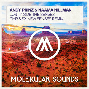 收听Andy Prinz的Lost Inside The Senses (Chris SX New Senses Extended Mix)歌词歌曲