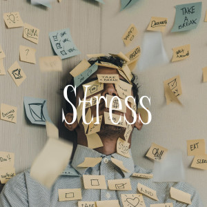 K.Sin的專輯Stress