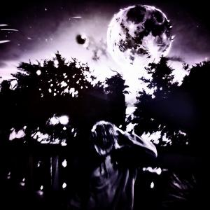 收聽Vaun的the night歌詞歌曲