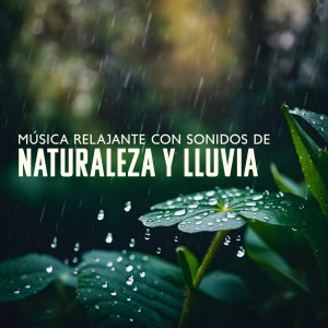 Album Música Relajante con Sonidos de Naturaleza y Lluvia (Sueño Profundo) oleh Área de relajación