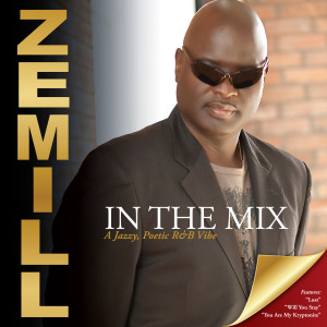 Listen to Last Train Home song with lyrics from Zemill