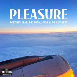 Listen to PLEASURE (Explicit) song with lyrics from TOKAREV