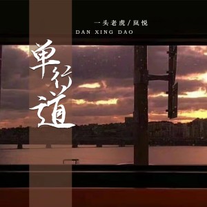 Listen to 单行道 (伴奏) song with lyrics from 一头老虎