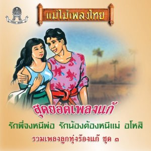 Listen to ลูกเขยผู้กว้างขวาง song with lyrics from ชัยชนะ บุญนะโชติ