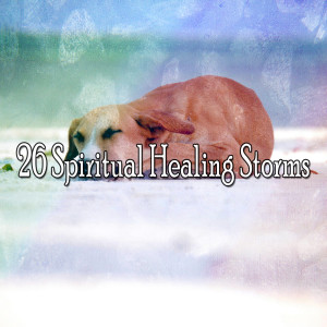 ดาวน์โหลดและฟังเพลง Light Storm พร้อมเนื้อเพลงจาก Rain Sounds