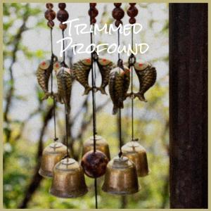 Listen to Himself Eccentric song with lyrics from Myne Baku