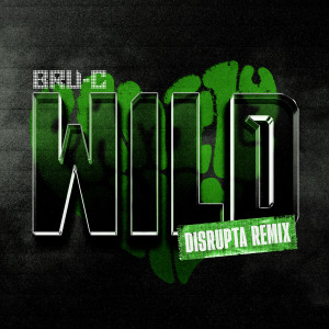 Bru-C的專輯Wild (Disrupta Remix)