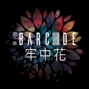 收聽巴曲的牢中花 (feat. 董小璐)歌詞歌曲