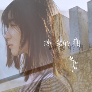 ดาวน์โหลดและฟังเพลง 撕裂的痛 พร้อมเนื้อเพลงจาก 张珈珈