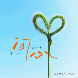 Dengarkan 问心 (完整版) lagu dari 王一佳 dengan lirik