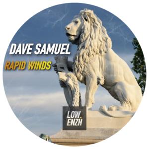 Dave Samuel的專輯Rapid Winds