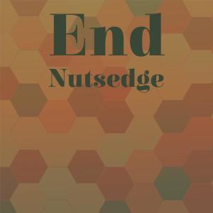 Dengarkan lagu End Nutsedge nyanyian Rogen Polina dengan lirik
