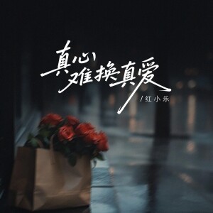 红小乐的专辑真心难换真爱