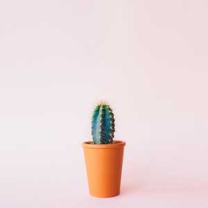 ดาวน์โหลดและฟังเพลง I am a bad man พร้อมเนื้อเพลงจาก Cactus Satoshi