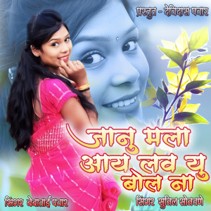 Listen to Janu Mala I Love You Bol Na song with lyrics from Bebatai Pawar