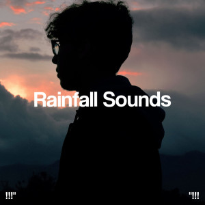 !!!" Rainfall Sounds "!!!