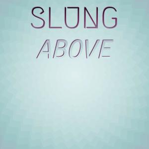 Various Artists的專輯Slung Above