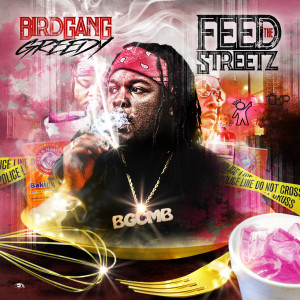 BirdGang Greedy的專輯Feed the Streetz (Explicit)