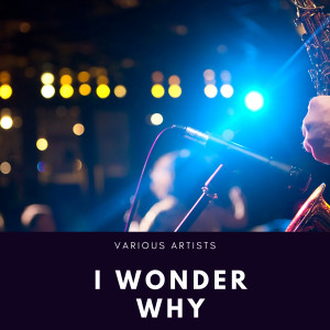 Listen to Corrine, Corrina song with lyrics from His Comets