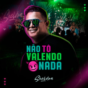 Album Não Tô Valendo Nada from 