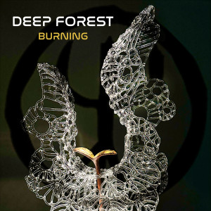 Listen to Hidden Worlds song with lyrics from Deep Forest