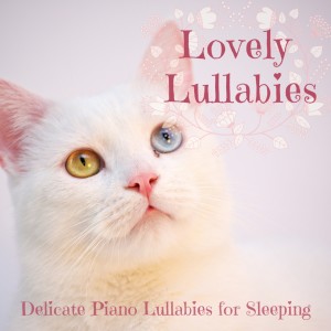 Listen to Black and White Snooze song with lyrics from Piano Cats