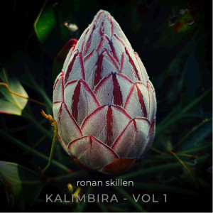 Ronan Skillen的專輯Kalimbira Vol. 1