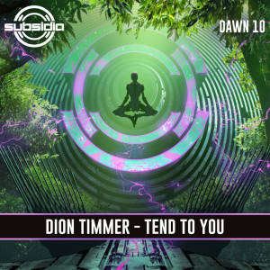收聽Dion Timmer的Tend To You歌詞歌曲