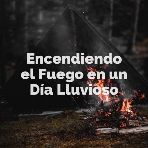 Lluvia Relajante的专辑Encendiendo El Fuego En Un Día Lluvioso