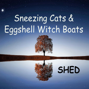 ดาวน์โหลดและฟังเพลง Sneezing Cats and Eggshell Witch Boats พร้อมเนื้อเพลงจาก shed