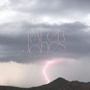 ดาวน์โหลดและฟังเพลง Flagpole Sitta พร้อมเนื้อเพลงจาก Kaleb Jones